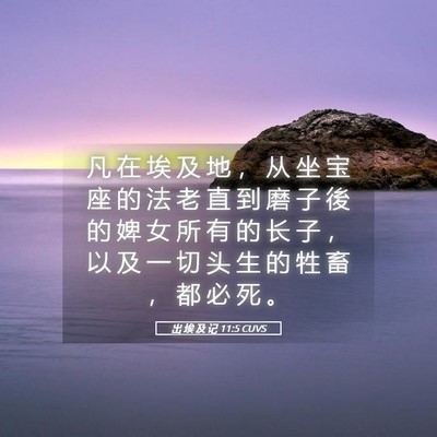 Picture 05 - 出 埃 及 记 11:5 CUVS - 凡 在 埃 及 地 ， 从 坐 宝 座 的 法 - Bible Verse Picture