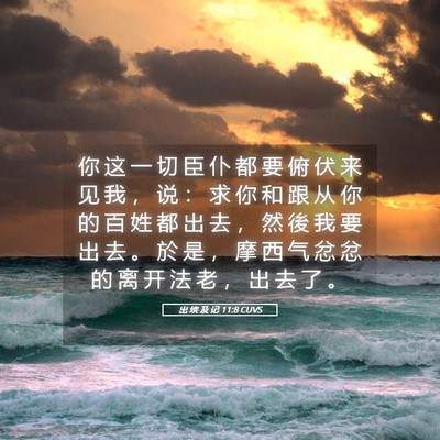 Picture 05 - 出 埃 及 记 11:8 CUVS - 你 这 一 切 臣 仆 都 要 俯 伏 来 见 - Bible Verse Picture
