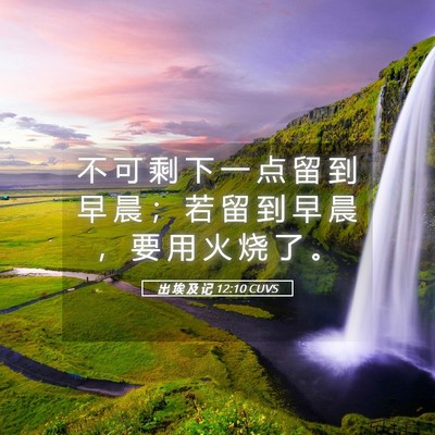 Picture 05 - 出 埃 及 记 12:10 CUVS - 不 可 剩 下 一 点 留 到 早 晨 ； 若 - Bible Verse Picture
