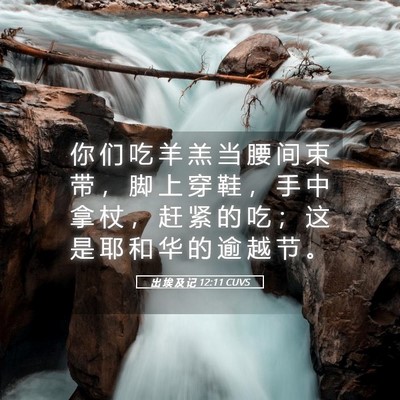 Picture 05 - 出 埃 及 记 12:11 CUVS - 你 们 吃 羊 羔 当 腰 间 束 带 ， 脚 - Bible Verse Picture