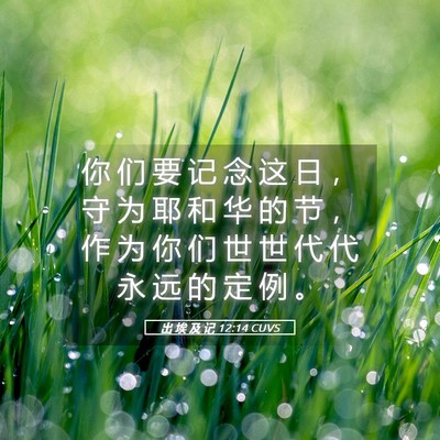 Picture 05 - 出 埃 及 记 12:14 CUVS - 你 们 要 记 念 这 日 ， 守 为 耶 和 - Bible Verse Picture