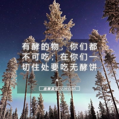 Picture 05 - 出 埃 及 记 12:20 CUVS - 有 酵 的 物 ， 你 们 都 不 可 吃 ； - Bible Verse Picture