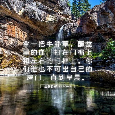 Picture 05 - 出 埃 及 记 12:22 CUVS - 拿 一 把 牛 膝 草 ， 蘸 盆 里 的 血 - Bible Verse Picture