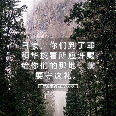 Picture 05 - 出 埃 及 记 12:25 CUVS - 日 後 ， 你 们 到 了 耶 和 华 按 着 - Bible Verse Picture