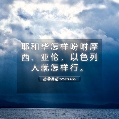 Picture 05 - 出 埃 及 记 12:28 CUVS - 耶 和 华 怎 样 吩 咐 摩 西 、 亚 伦 - Bible Verse Picture