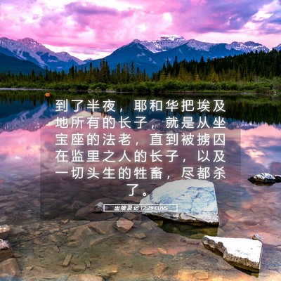 Picture 05 - 出 埃 及 记 12:29 CUVS - 到 了 半 夜 ， 耶 和 华 把 埃 及 地 - Bible Verse Picture