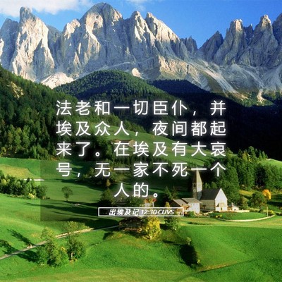Picture 05 - 出 埃 及 记 12:30 CUVS - 法 老 和 一 切 臣 仆 ， 并 埃 及 众 - Bible Verse Picture