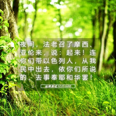 Picture 05 - 出 埃 及 记 12:31 CUVS - 夜 间 ， 法 老 召 了 摩 西 、 亚 伦 - Bible Verse Picture