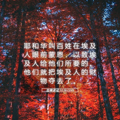 Picture 05 - 出 埃 及 记 12:36 CUVS - 耶 和 华 叫 百 姓 在 埃 及 人 眼 前 - Bible Verse Picture