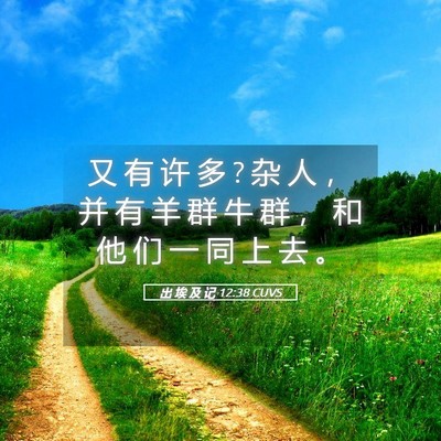 Picture 05 - 出 埃 及 记 12:38 CUVS - 又 有 许 多 ? 杂 人 ， 并 有 羊 群 牛 - Bible Verse Picture