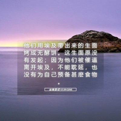 Picture 05 - 出 埃 及 记 12:39 CUVS - 他 们 用 埃 及 带 出 来 的 生 面 烤 - Bible Verse Picture