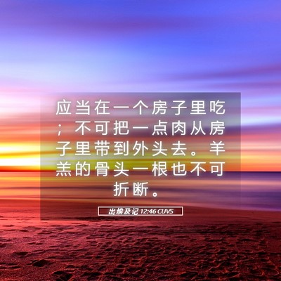 Picture 05 - 出 埃 及 记 12:46 CUVS - 应 当 在 一 个 房 子 里 吃 ； 不 可 - Bible Verse Picture