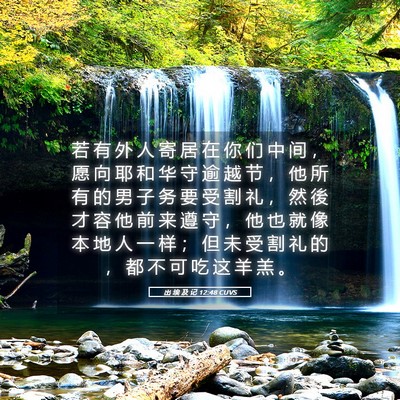 Picture 05 - 出 埃 及 记 12:48 CUVS - 若 有 外 人 寄 居 在 你 们 中 间 ， - Bible Verse Picture