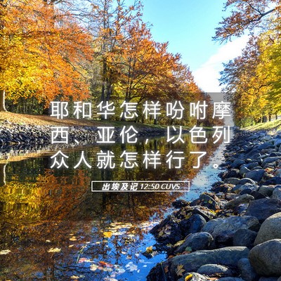 Picture 05 - 出 埃 及 记 12:50 CUVS - 耶 和 华 怎 样 吩 咐 摩 西 、 亚 伦 - Bible Verse Picture