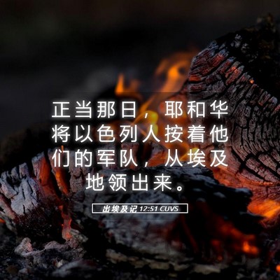 Picture 05 - 出 埃 及 记 12:51 CUVS - 正 当 那 日 ， 耶 和 华 将 以 色 列 - Bible Verse Picture