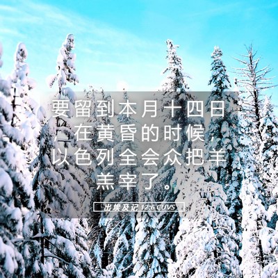 Picture 05 - 出 埃 及 记 12:6 CUVS - 要 留 到 本 月 十 四 日 ， 在 黄 昏 - Bible Verse Picture