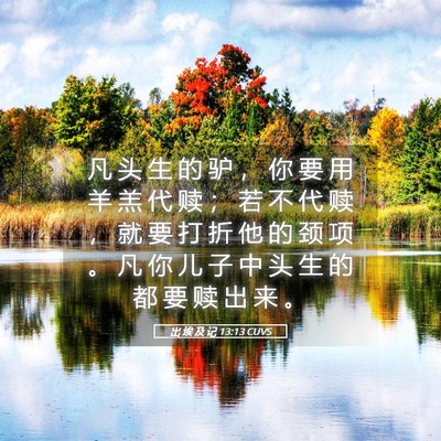 Picture 05 - 出 埃 及 记 13:13 CUVS - 凡 头 生 的 驴 ， 你 要 用 羊 羔 代 - Bible Verse Picture