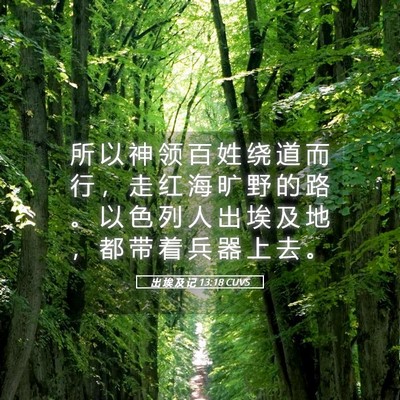 Picture 05 - 出 埃 及 记 13:18 CUVS - 所 以 神 领 百 姓 绕 道 而 行 ， 走 - Bible Verse Picture
