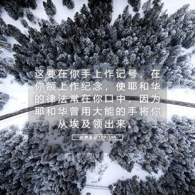 Picture 05 - 出 埃 及 记 13:9 CUVS - 这 要 在 你 手 上 作 记 号 ， 在 你 - Bible Verse Picture