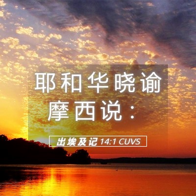 Picture 05 - 出 埃 及 记 14:1 CUVS - 耶 和 华 晓 谕 摩 西 说 - Bible Verse Picture