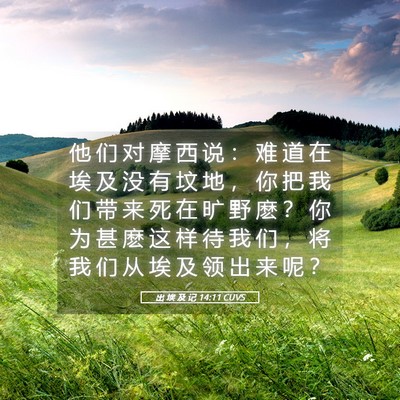 Picture 05 - 出 埃 及 记 14:11 CUVS - 他 们 对 摩 西 说 ： 难 道 在 埃 及 - Bible Verse Picture
