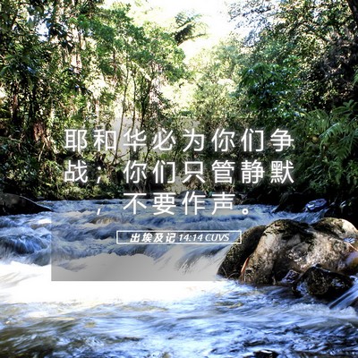 Picture 05 - 出 埃 及 记 14:14 CUVS - 耶 和 华 必 为 你 们 争 战 ； 你 们 - Bible Verse Picture