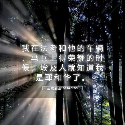 Picture 05 - 出 埃 及 记 14:18 CUVS - 我 在 法 老 和 他 的 车 辆 、 马 兵 - Bible Verse Picture