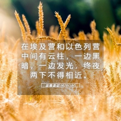 Picture 05 - 出 埃 及 记 14:20 CUVS - 在 埃 及 营 和 以 色 列 营 中 间 有 - Bible Verse Picture