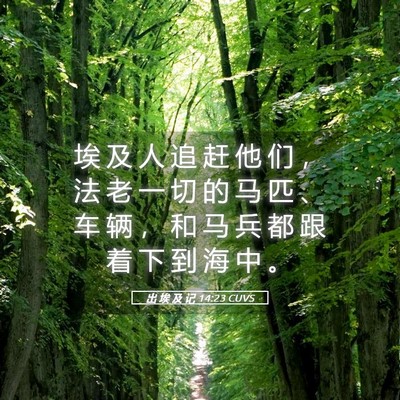 Picture 05 - 出 埃 及 记 14:23 CUVS - 埃 及 人 追 赶 他 们 ， 法 老 一 切 - Bible Verse Picture