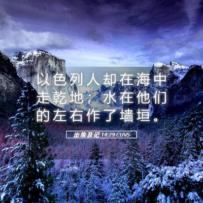Picture 05 - 出 埃 及 记 14:29 CUVS - 以 色 列 人 却 在 海 中 走 乾 地 ； - Bible Verse Picture