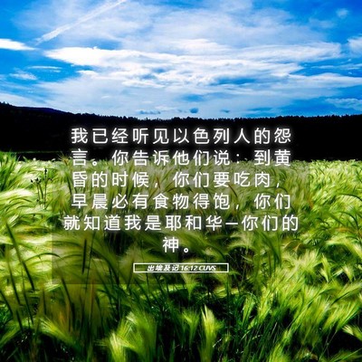 Picture 05 - 出 埃 及 记 16:12 CUVS - 我 已 经 听 见 以 色 列 人 的 怨 言 - Bible Verse Picture