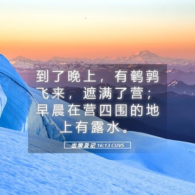 Picture 05 - 出 埃 及 记 16:13 CUVS - 到 了 晚 上 ， 有 鹌 鹑 飞 来 ， 遮 - Bible Verse Picture
