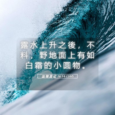 Picture 05 - 出 埃 及 记 16:14 CUVS - 露 水 上 升 之 後 ， 不 料 ， 野 地 - Bible Verse Picture