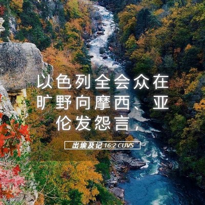 Picture 05 - 出 埃 及 记 16:2 CUVS - 以 色 列 全 会 众 在 旷 野 向 摩 西 - Bible Verse Picture