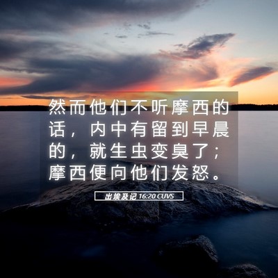 Picture 05 - 出 埃 及 记 16:20 CUVS - 然 而 他 们 不 听 摩 西 的 话 ， 内 - Bible Verse Picture