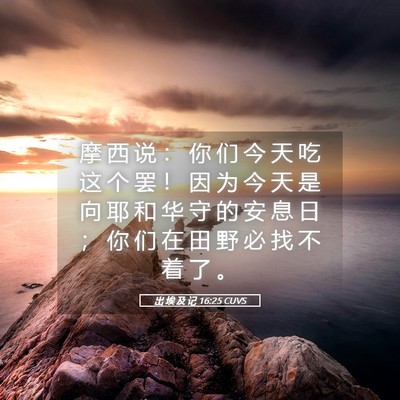 Picture 05 - 出 埃 及 记 16:25 CUVS - 摩 西 说 ： 你 们 今 天 吃 这 个 罢 - Bible Verse Picture