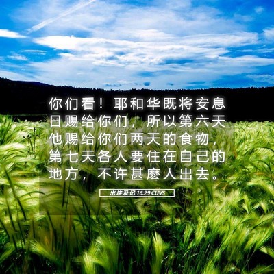 Picture 05 - 出 埃 及 记 16:29 CUVS - 你 们 看 ！ 耶 和 华 既 将 安 息 日 - Bible Verse Picture