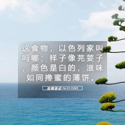 Picture 05 - 出 埃 及 记 16:31 CUVS - 这 食 物 ， 以 色 列 家 叫 吗 哪 ； - Bible Verse Picture