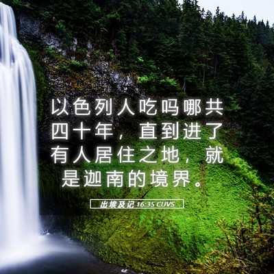 Picture 05 - 出 埃 及 记 16:35 CUVS - 以 色 列 人 吃 吗 哪 共 四 十 年 ， - Bible Verse Picture