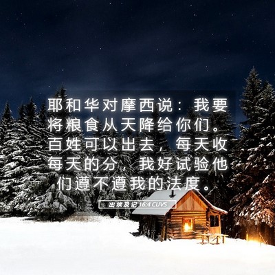 Picture 05 - 出 埃 及 记 16:4 CUVS - 耶 和 华 对 摩 西 说 ： 我 要 将 粮 - Bible Verse Picture