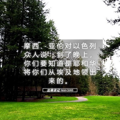 Picture 05 - 出 埃 及 记 16:6 CUVS - 摩 西 、 亚 伦 对 以 色 列 众 人 说 - Bible Verse Picture