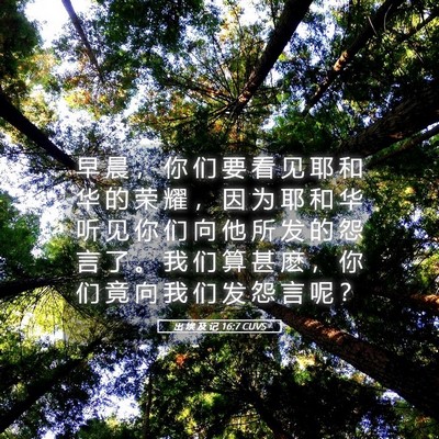 Picture 05 - 出 埃 及 记 16:7 CUVS - 早 晨 ， 你 们 要 看 见 耶 和 华 的 - Bible Verse Picture