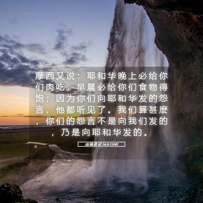Picture 05 - 出 埃 及 记 16:8 CUVS - 摩 西 又 说 ： 耶 和 华 晚 上 必 给 - Bible Verse Picture