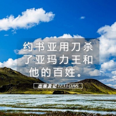 Picture 05 - 出 埃 及 记 17:13 CUVS - 约 书 亚 用 刀 杀 了 亚 玛 力 王 和 - Bible Verse Picture