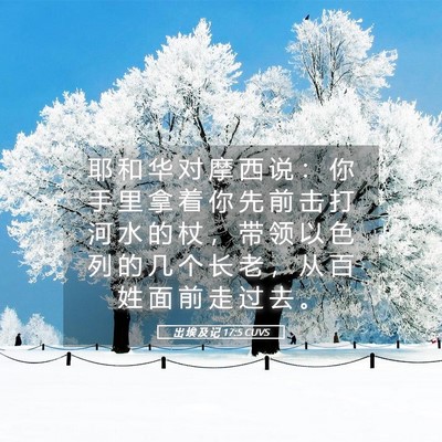 Picture 05 - 出 埃 及 记 17:5 CUVS - 耶 和 华 对 摩 西 说 ： 你 手 里 拿 - Bible Verse Picture