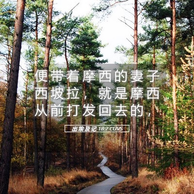 Picture 05 - 出 埃 及 记 18:2 CUVS - 便 带 着 摩 西 的 妻 子 西 坡 拉 ， - Bible Verse Picture