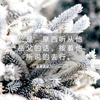 Picture 05 - 出 埃 及 记 18:24 CUVS - 於 是 ， 摩 西 听 从 他 岳 父 的 话 - Bible Verse Picture