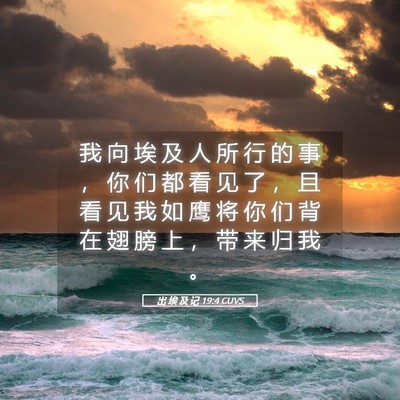 Picture 05 - 出 埃 及 记 19:4 CUVS - 我 向 埃 及 人 所 行 的 事 ， 你 们 - Bible Verse Picture