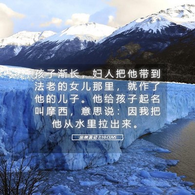 Picture 05 - 出 埃 及 记 2:10 CUVS - 孩 子 渐 长 ， 妇 人 把 他 带 到 法 - Bible Verse Picture
