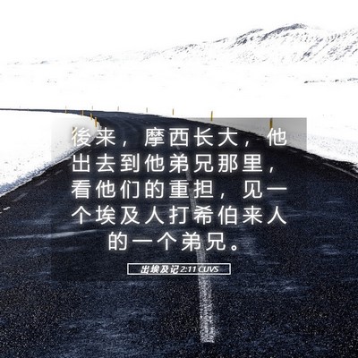 Picture 05 - 出 埃 及 记 2:11 CUVS - 後 来 ， 摩 西 长 大 ， 他 出 去 到 - Bible Verse Picture